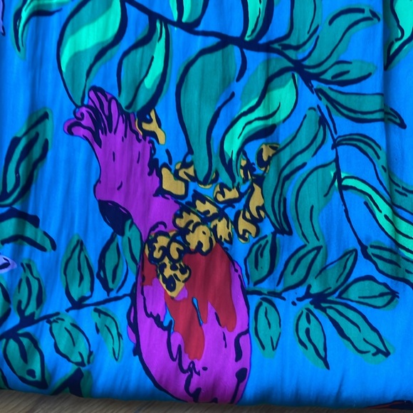 Lilly Pulitzer Joanna Empire Waist Maxi Dress in Shake Your Tail Feathers - Picture 12 of 13